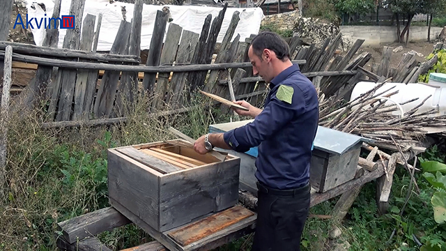 Kastamonu’yu ayı korkusu sardı