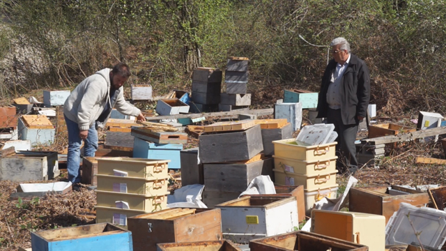 Kış Uykusundan Uyanan Ayılar, 120 Arı Kovanını Parçaladı