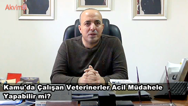 Müdehale Yapabilir mi? Acil durumlar Hayvanlar için  Kamu'daki Veterinerler