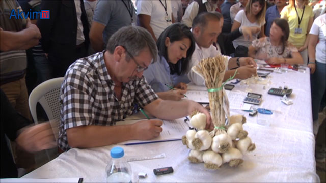 TTaşköprü’de en iyi sarımsak ve en iyi buzağı yarışması düzenlendi