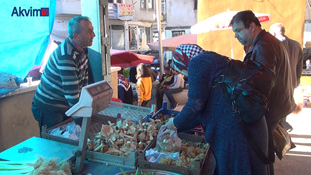 Kastamonu’da son 10 günde 50 kişi mantardan zehirlendi...